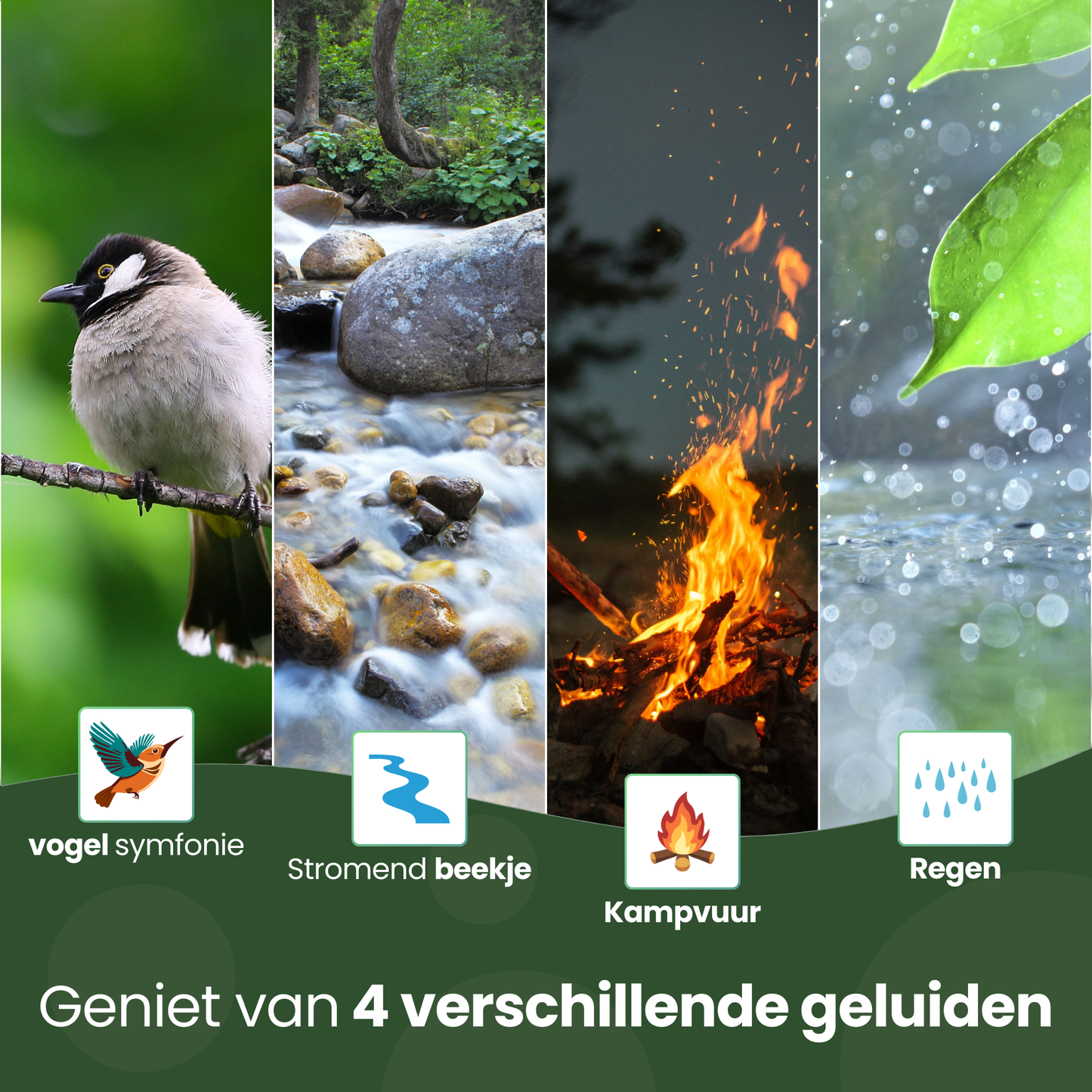 Slowli® - Vogelhuisje met Geluid & Sensor